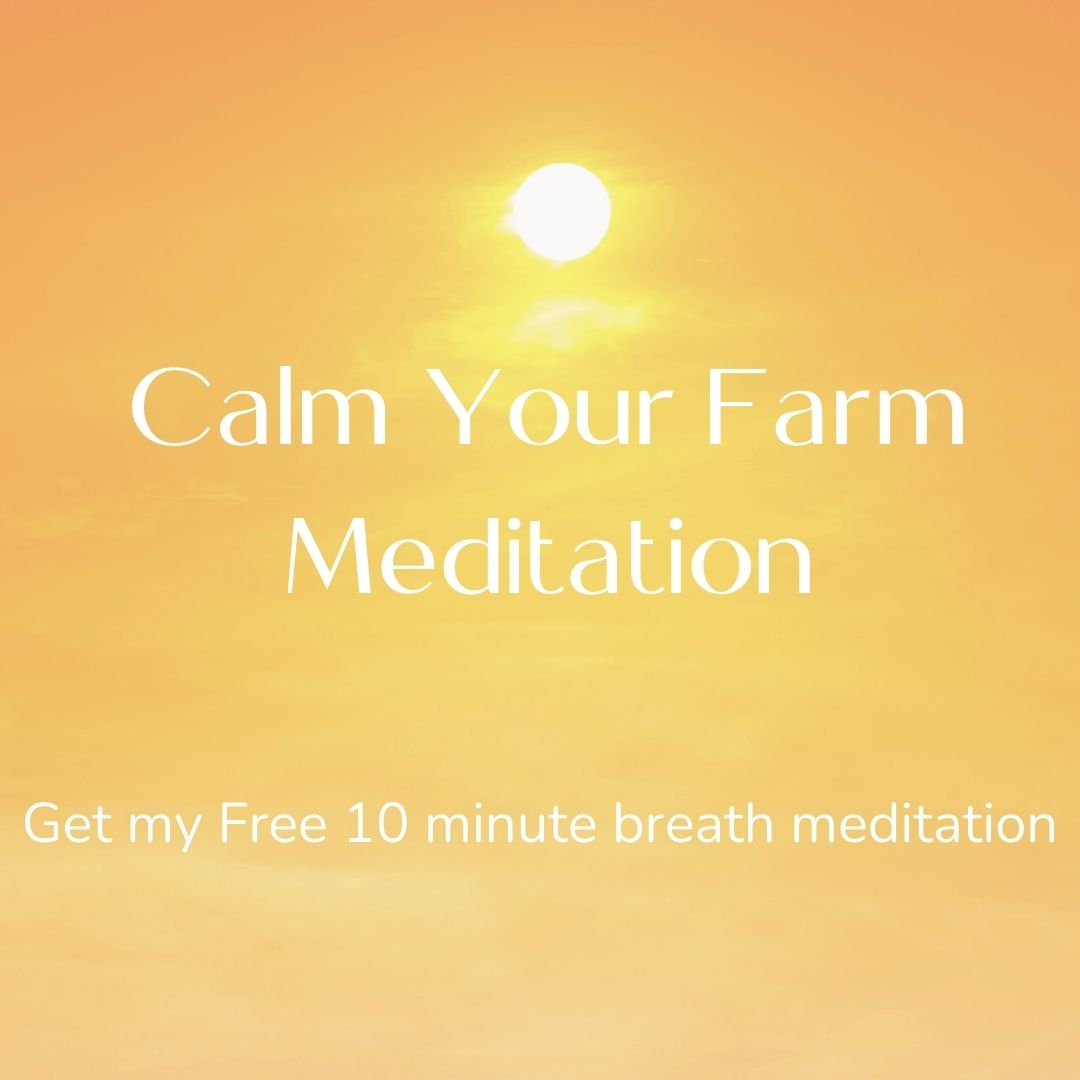 calm your farm meditation calm your farm meditation