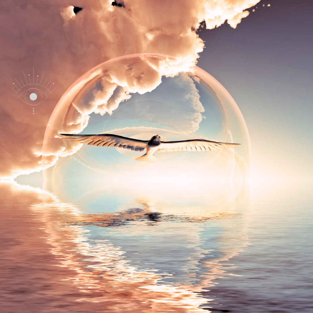 birds in flight - spirit journey